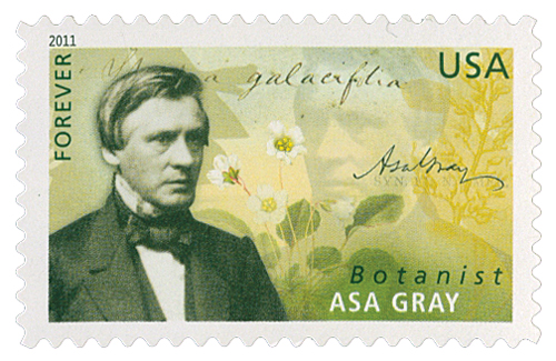 2011 American Scientists: Asa Gray stamp