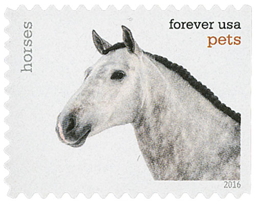 2016 Pets: Horses stamp
